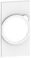Лицевая панель Legrand BTicino Living Now для 1-м. 2 мод. розетки 220В+USB белый картинка